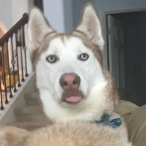 Meet your Posher, Kay